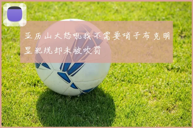 亚历山大怒吼我不需要哨子布克明显犯规却未被吹罚